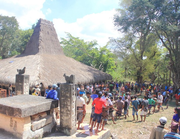 PhotoFile #: 7 dCountry: IndonesiaSite: Sumba IslandCaption: Ritual and celebration of bringing the main building pillars to the village from the ancientforest.Date: July 2017Photographer: Setya TantraProvenance: Watch 2022Note: Supplement (Foto:  )