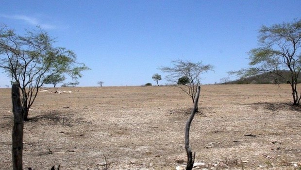 Área desertificada no interior de Alagoas, onde fenômeno atinge 32,8% de todo o território estadual, o maior percentual em todo o Semiárido (Foto: ASCOM- GOV. DE AL)
