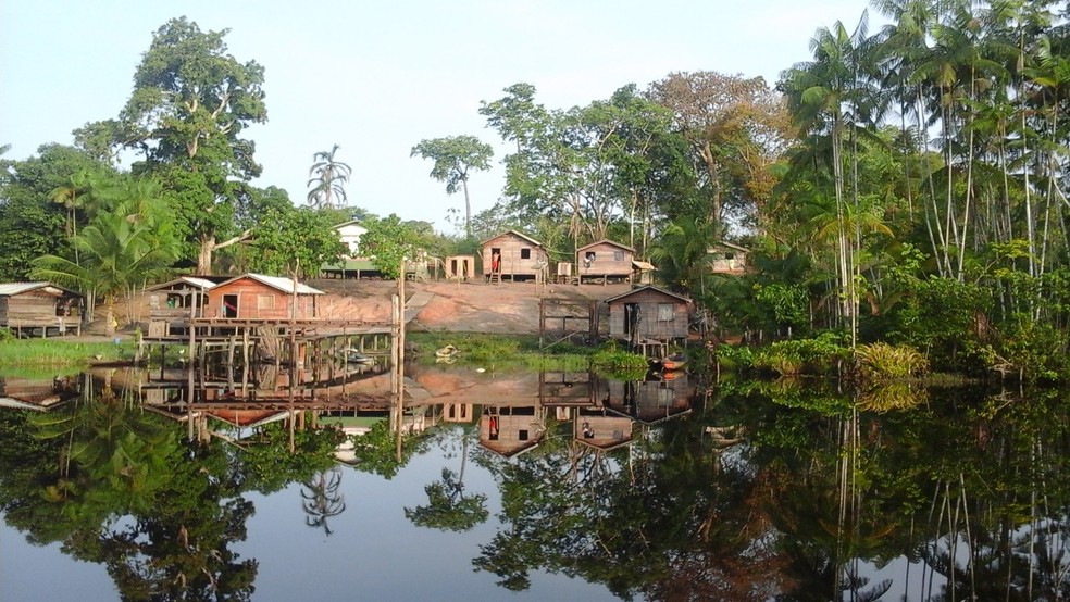 Comunidade ribeirinha que vive de subsistência na Floresta Nacional de Caxiuanã, no Marajó, no Pará — Foto: Divulgação/IcmBio