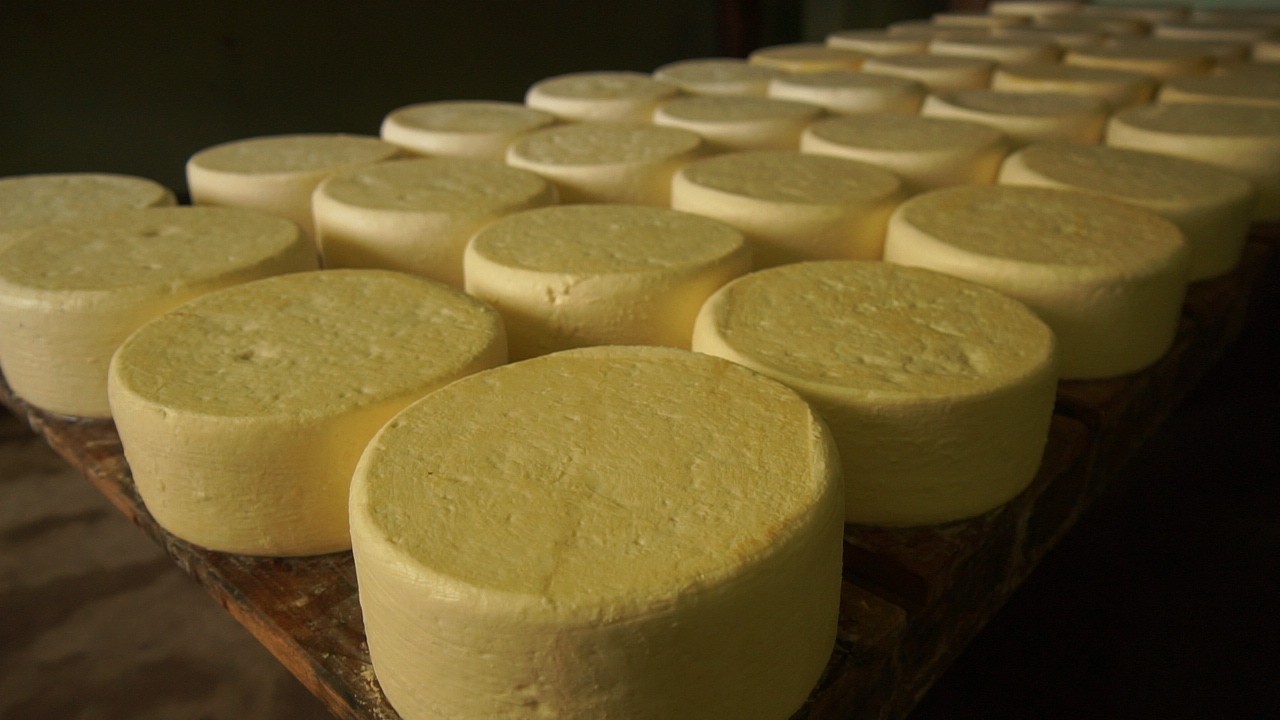 Festival tem degustação às cegas e votação do melhor queijo artesanal de Minas; saiba como participar