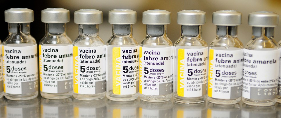 Vacinas de febre amarela (Foto: André Borges/Agência Brasília)