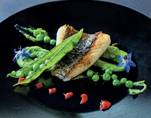 Uzes; relates to feature on a hidden town in the South of France, laid back town, arty, sea bream with pea puree at L'Artemise (Foto: James Bedford)