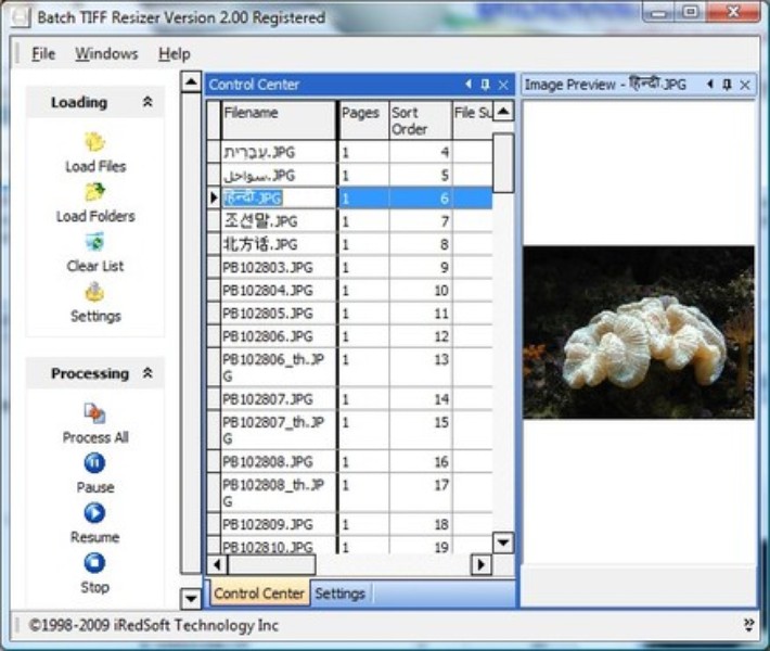 batch image resizer download