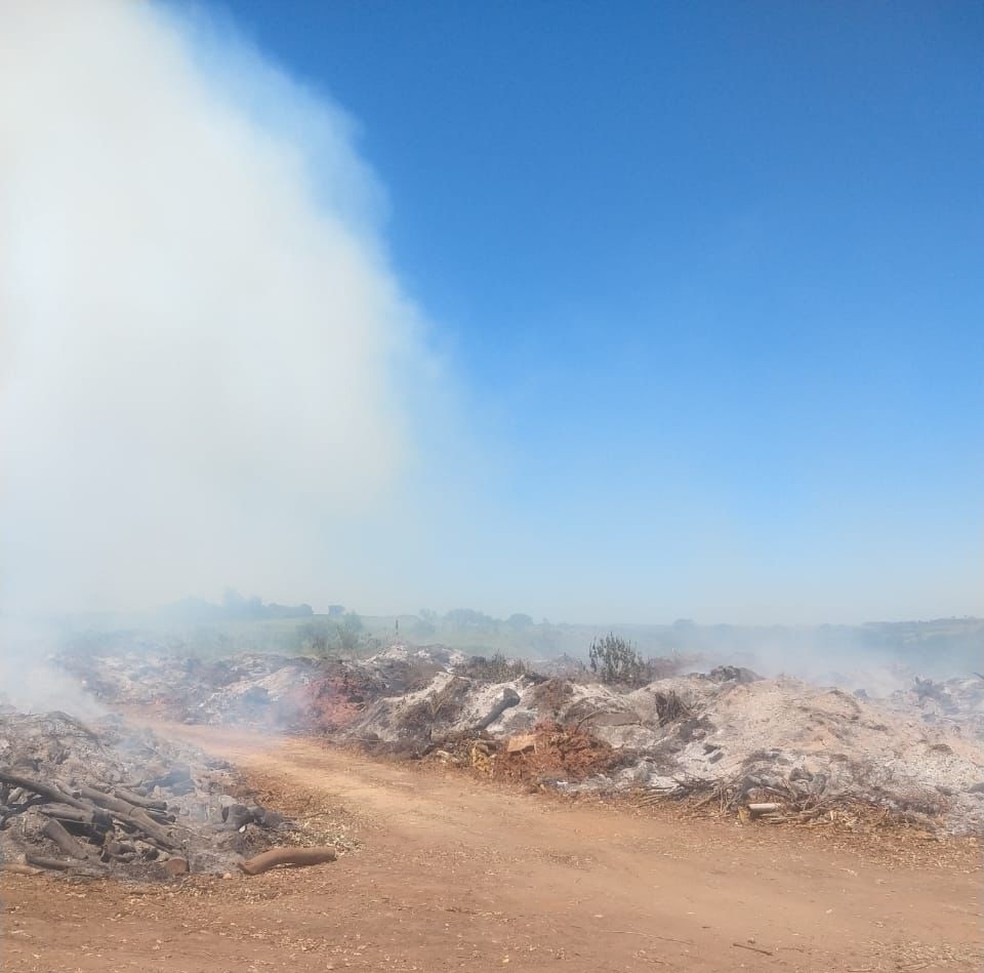 Moradora de Presidente Prudente (SP) registrou incêndio no Depósito Municipal de Galhos em 4 de novembro de 2021 — Foto: Bethe Santos/Cedida
