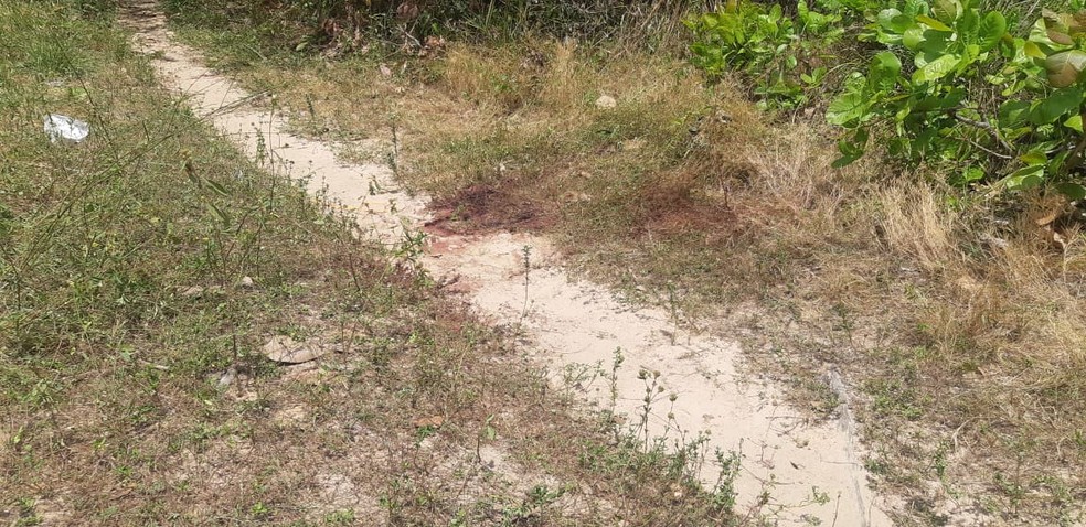 Corpo foi encontrado em caminho que corta em matagal na Grande Fortaleza â€” Foto: LeÃ¡bem Monteiro/ Sistema Verdes Mares