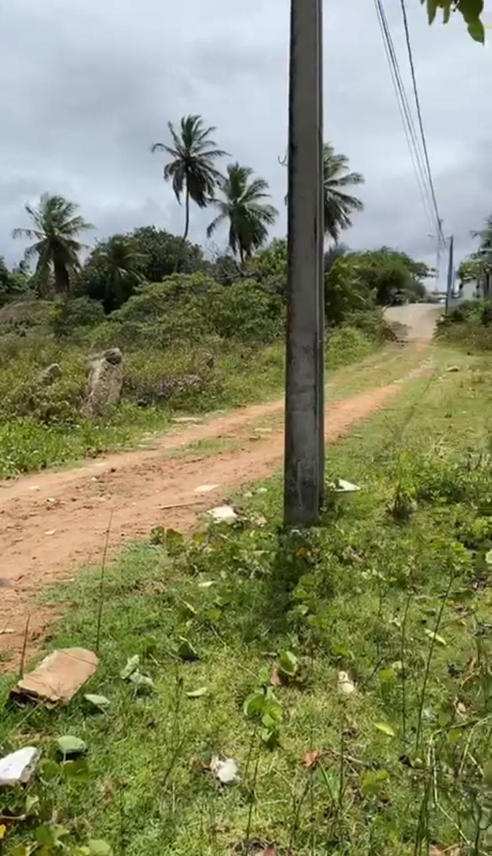 Família procura menino de 8 anos desaparecido em Natal | Rio Grande do  Norte | G1
