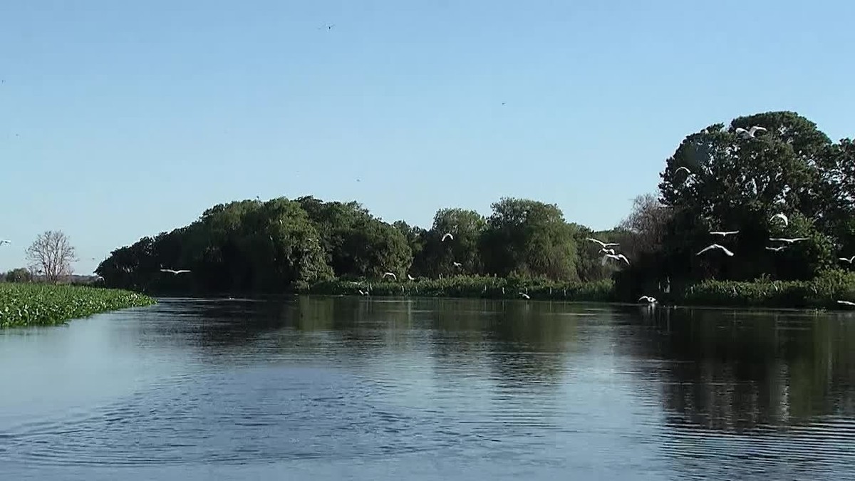 Da caatinga ao pantanal, Brasil tem diferentes paisagens para serem