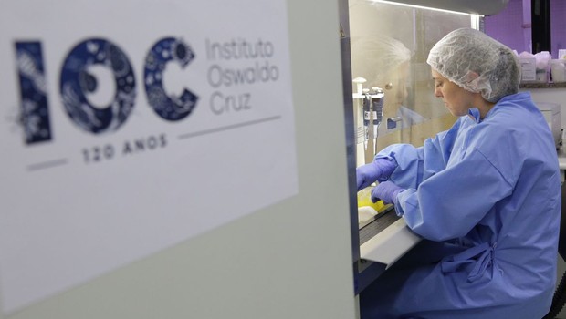 Anvisa aprova oito testes rápidos para Covid-19 (Foto: Divulgação/Josué Damacena (IOC/Fiocruz))