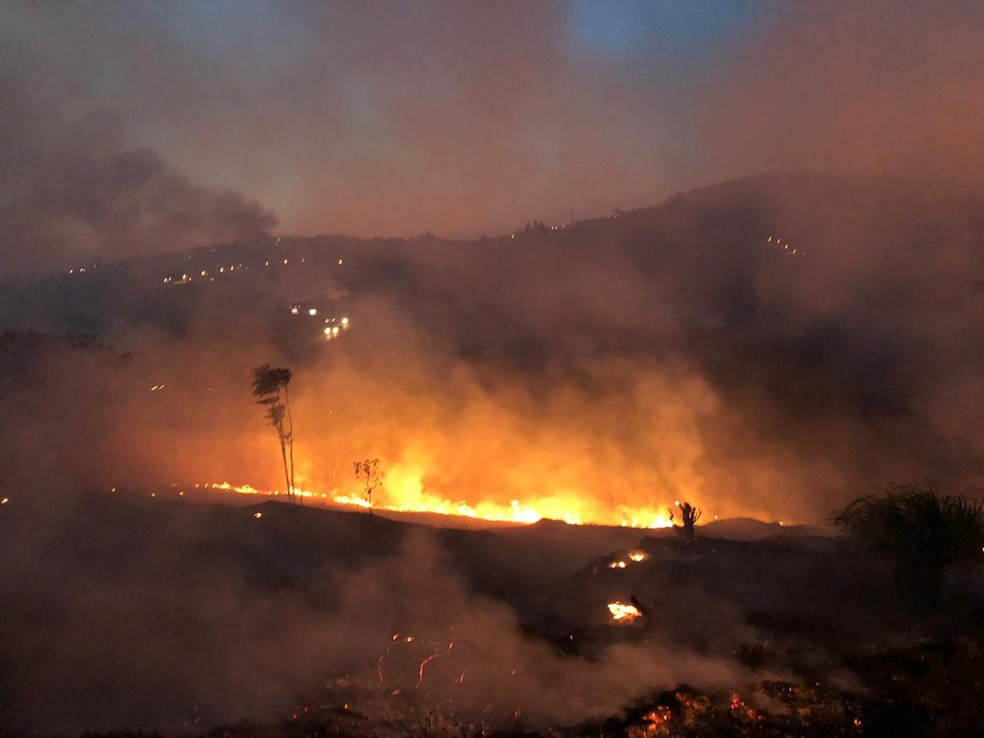 Vento contribuiu com a propagação do fogo pela vegetação em Juiz de Fora — Foto: Bárbara Guimarães/G1