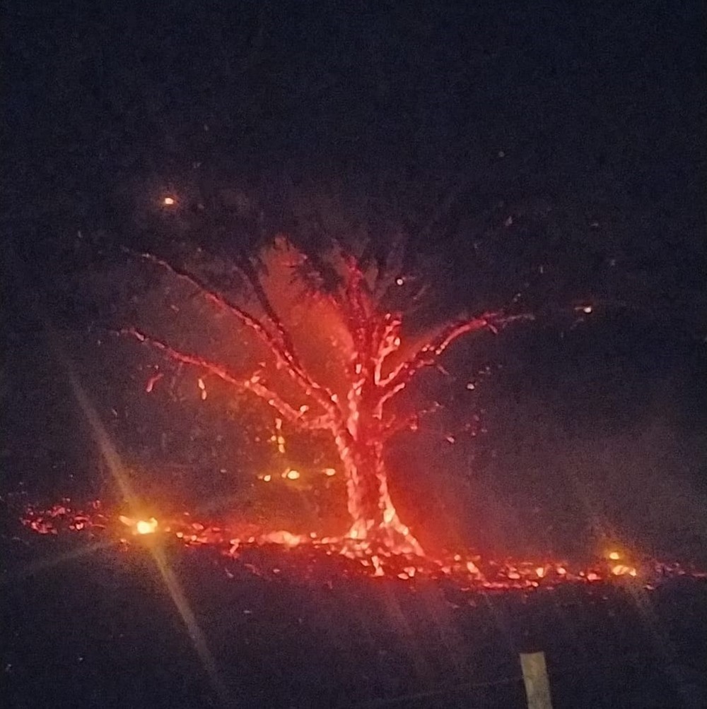 Uberlândia: incêndio queima área equivalente a 7 campos de futebol e gera foto que impressiona
