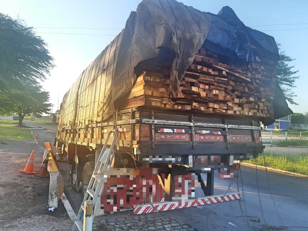 PRF apreende 65 m³ de madeira irregular na BR-232, em Sertânia ...