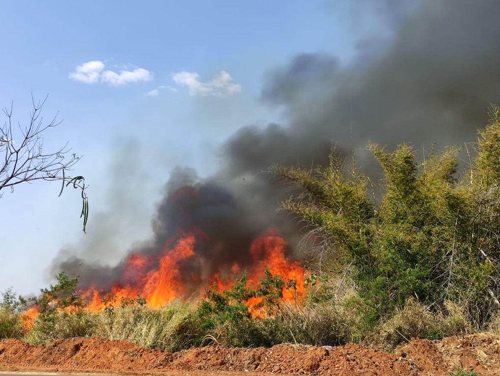 Fogo em vegetação também atingiu área vizinha ao Aeroporto Estadual de Presidente Prudente — Foto: Murilo Zara/TV Fronteira