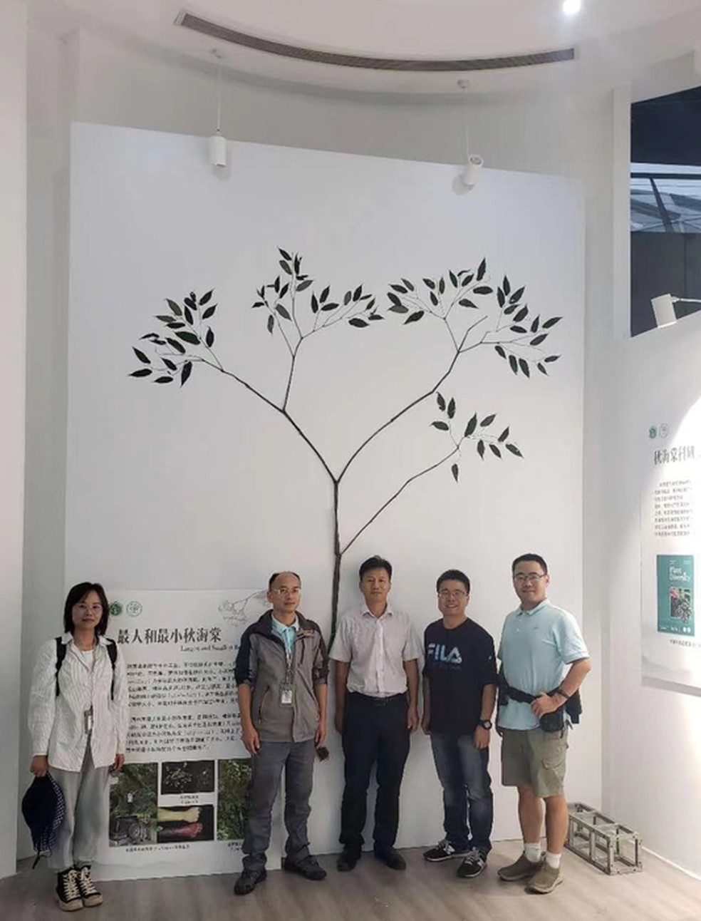 Exibição: equipe de pesquisa com um espécime da Begonia giganticaulis no Jardim Botânico Chenshan, em Xangai.  — Foto: Meiqin Zhu
