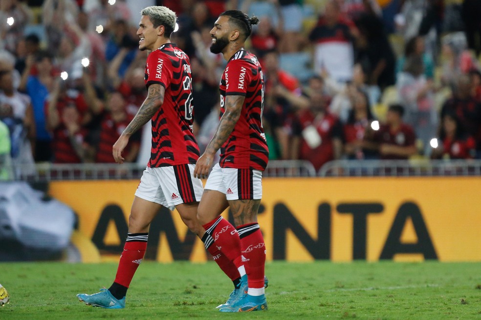 Pedro e Gabigol s&atilde;o os artilheiros do Flamengo na temporada &mdash; Foto: Gilvan de Souza