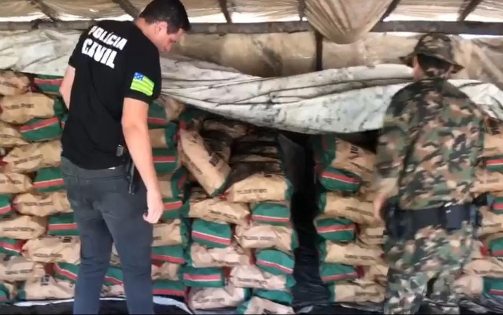 Policial civil e ambiental expecionando carvão, em Piranhas, Goiás — Foto: Divulgação/Batalhão Ambiental