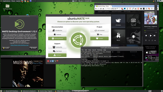 O MATE é uma revisão do antigo GNOME 2 (Foto: Divulgação/Ubuntu MATE)