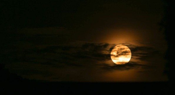 Super Lua deve iluminar o céu no dia 9 de março (Foto: Wikimedia Commons)