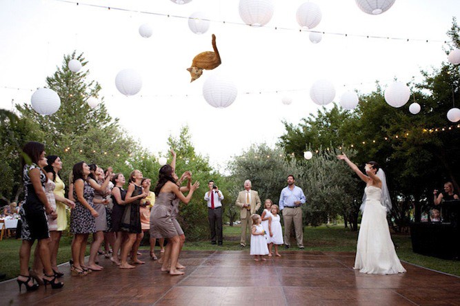Tumblr mostra noivas arremessando gatos em vez de buquês (Foto: Reprodução / bridesthrowingcats.com)