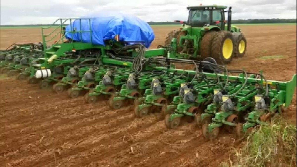 Plantio do milho atrasa em Mato Grosso thumbnail