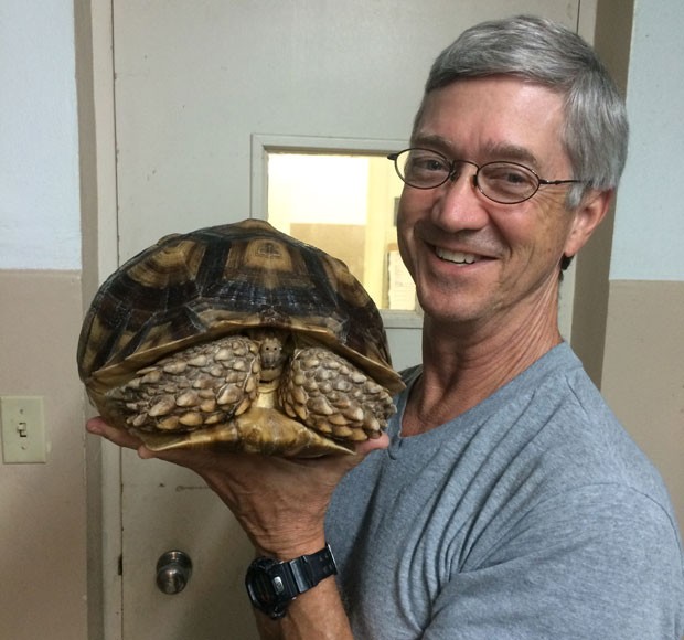 Veterinário  Don Harris segura a tartaruga (Foto: AP)