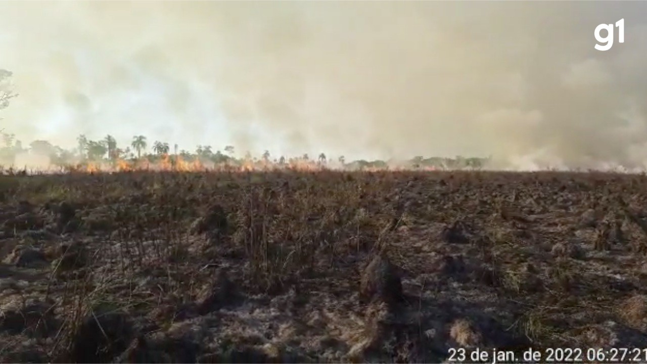 Raio provoca incêndio de grandes proporções em vegetação de parque estadual em MS; veja vídeo