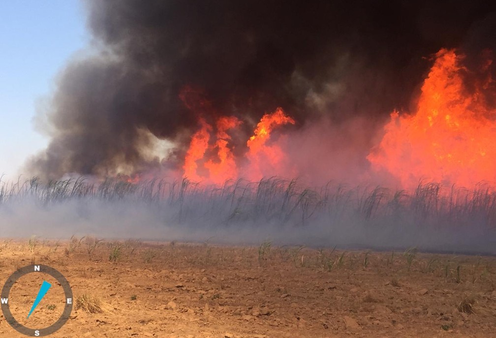 Incêndio de grandes proporções atingiu uma usina e uma fazenda neste sábado (3) na região de Sorriso — Foto: Corpo de Bombeiros de Sorriso/Ten Cel BM Jean