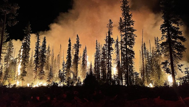 incendio, incendios, incendios florestais, onda de calor, meio ambiente,  (Foto: U.S. Forest Service- Pacific Northwest Region, Public domain, via Wikimedia Commons)
