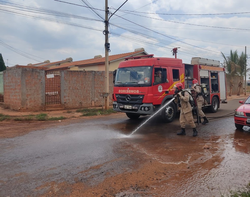 Bombeiros fizeram a limpeza do local para evitar que o produto txico se espalhasse  Foto: Polcia Civil