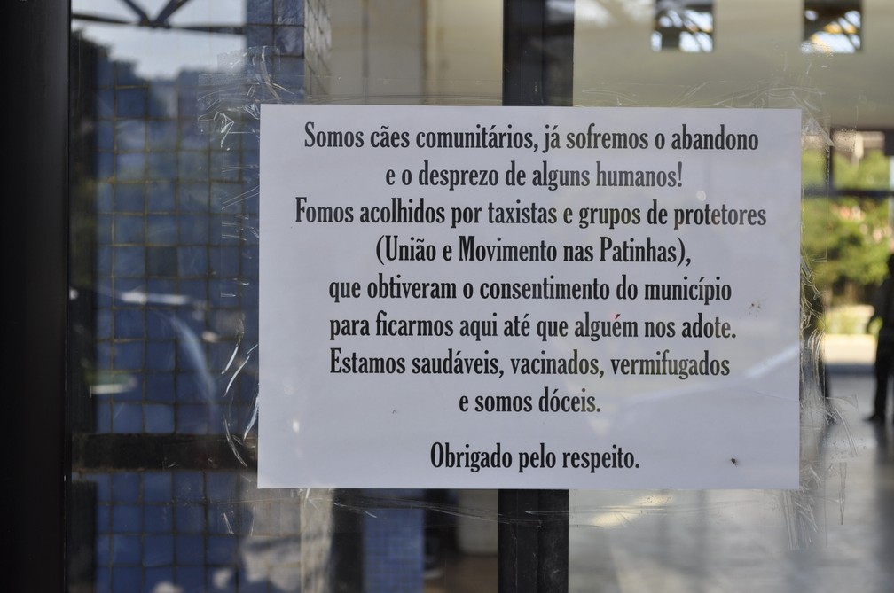 Placa colocada por taxistas e pelas ONGs pede respeito aos animais — Foto: Camilla Resende/G1