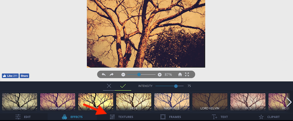 Fotoram Servico Online Gratis Edita Fotos Do Facebook Editores Techtudo