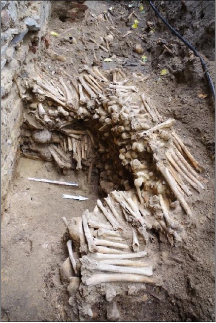 Paredes de ossos humanos são encontradas em catedral medieval na Bélgica (Foto: Ruben Willaert bvba/Facebook)