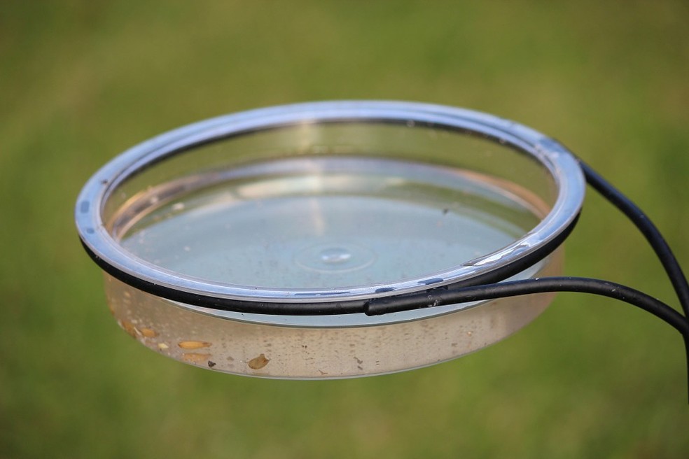 Focos do Aedes aegypti podem ser eliminados esfregando uma bucha no recipiente onde havia água parada — Foto: Pixabay/Divulgação