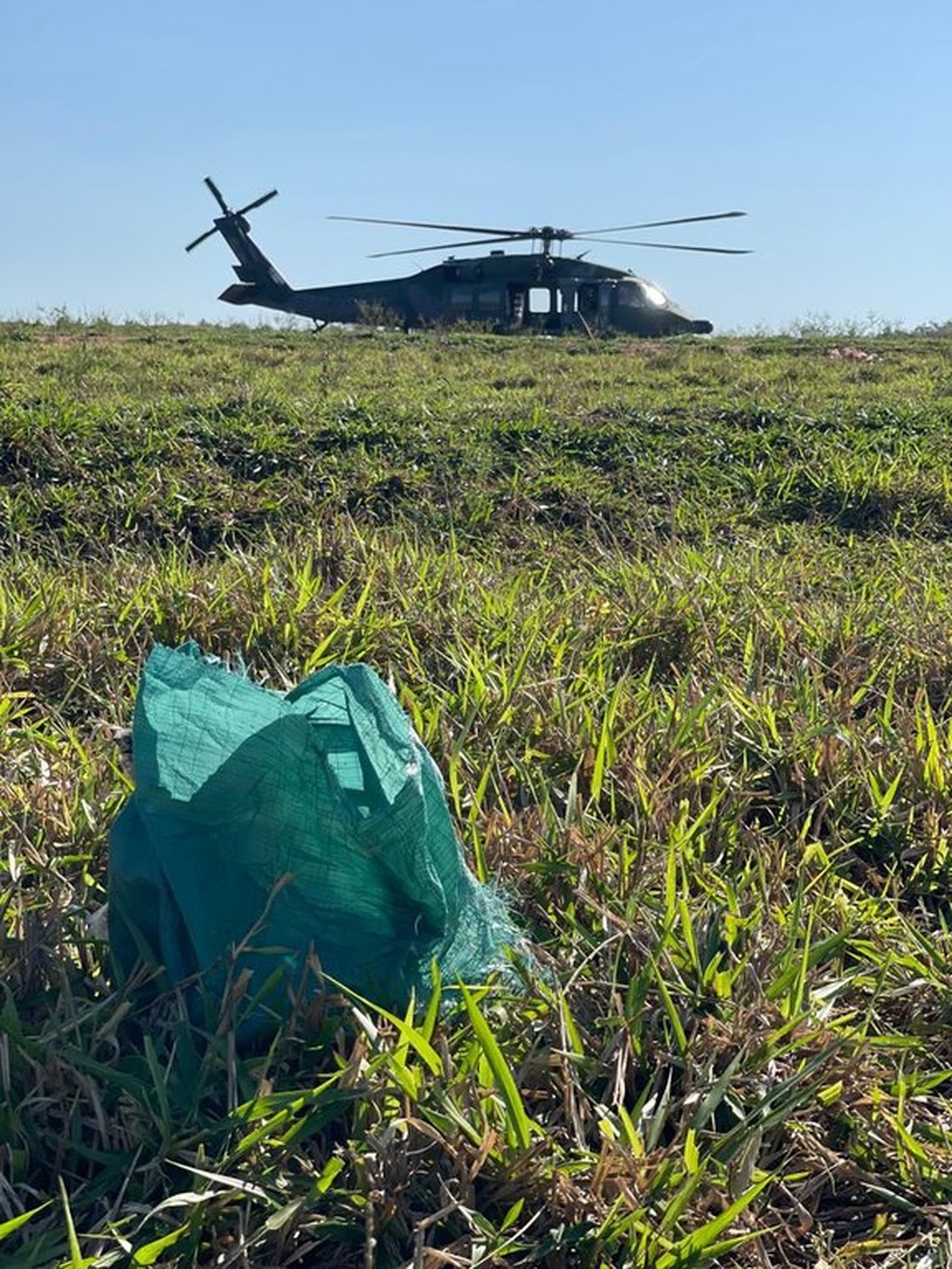 Fardos de cocaína que foram arremessados de avião incendiado em Mirante do Paranapanema — Foto: Polícia Federal