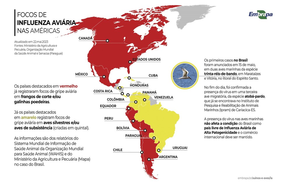 Focos de gripe aviária no continente americano — Foto: Reprodução/Embrapa Suínos e Aves