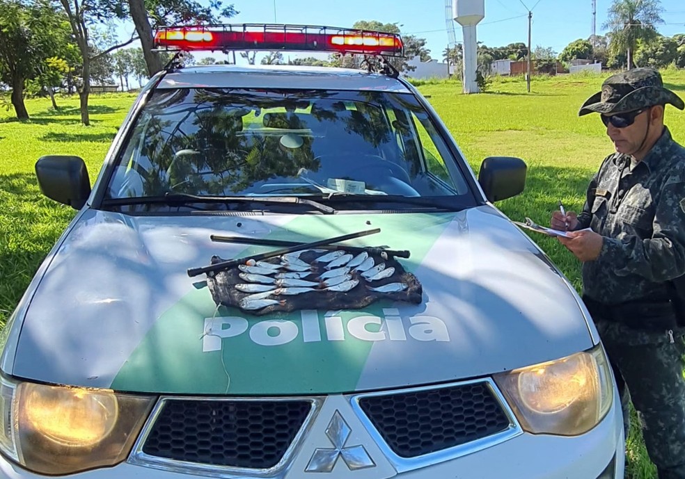 Flagrado com 21 peixes de espécie ameaçada de extinção, pescador amador é multado em R$ 1 mil, em Rosana (SP) — Foto: Polícia Militar Ambiental