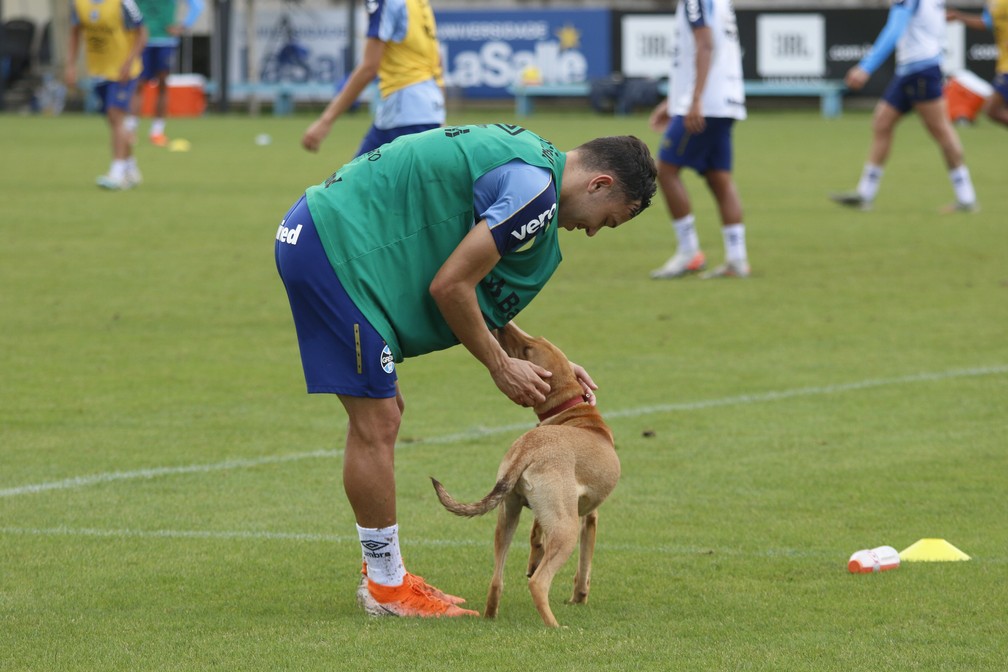 Pepê brinca com cachorro durante treino do Grêmio — Foto: Eduardo Moura