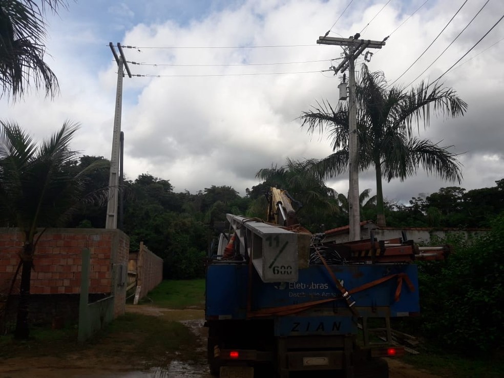 Operação foi realizada nesta sexta-feira (15), no município de Iranduba — Foto: Divulgação/Eletrobras Distribuição Amazonas
