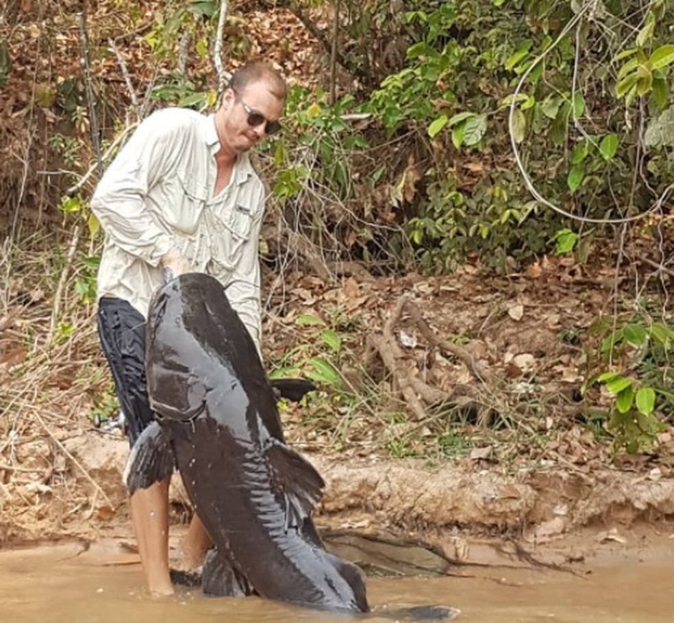 Pescador esportivo captura peixe de 70 kg em MT — Foto: Arquivo pessoal