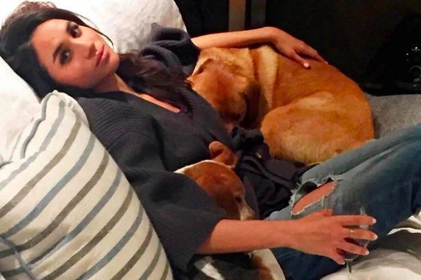 Meghan Markle com seu beagle Bogart (Foto: Instagram)