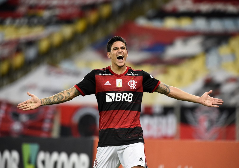 Pedro comemora gol pelo Flamengo contra o Sport — Foto: André Durão
