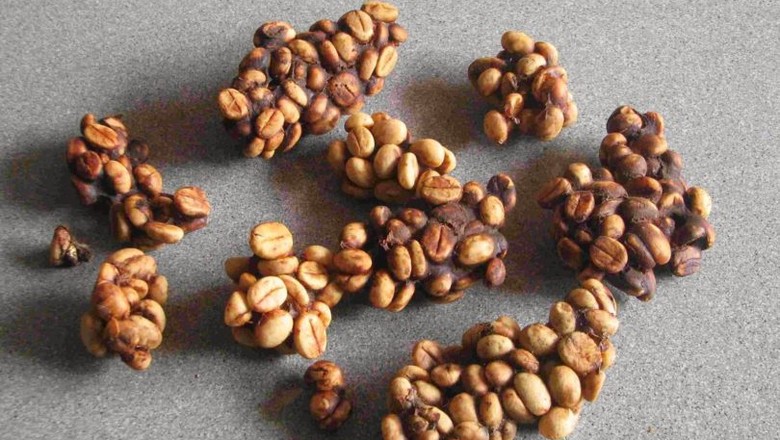 Grãos de kopi Luwak (Foto: Divulgação )
