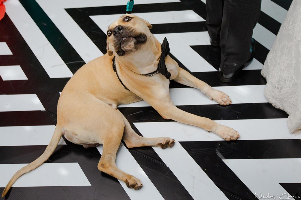 Spontaneous, Thor watched the video of the couple's love story in a focused way. - Photo: Nicultura Carrelo