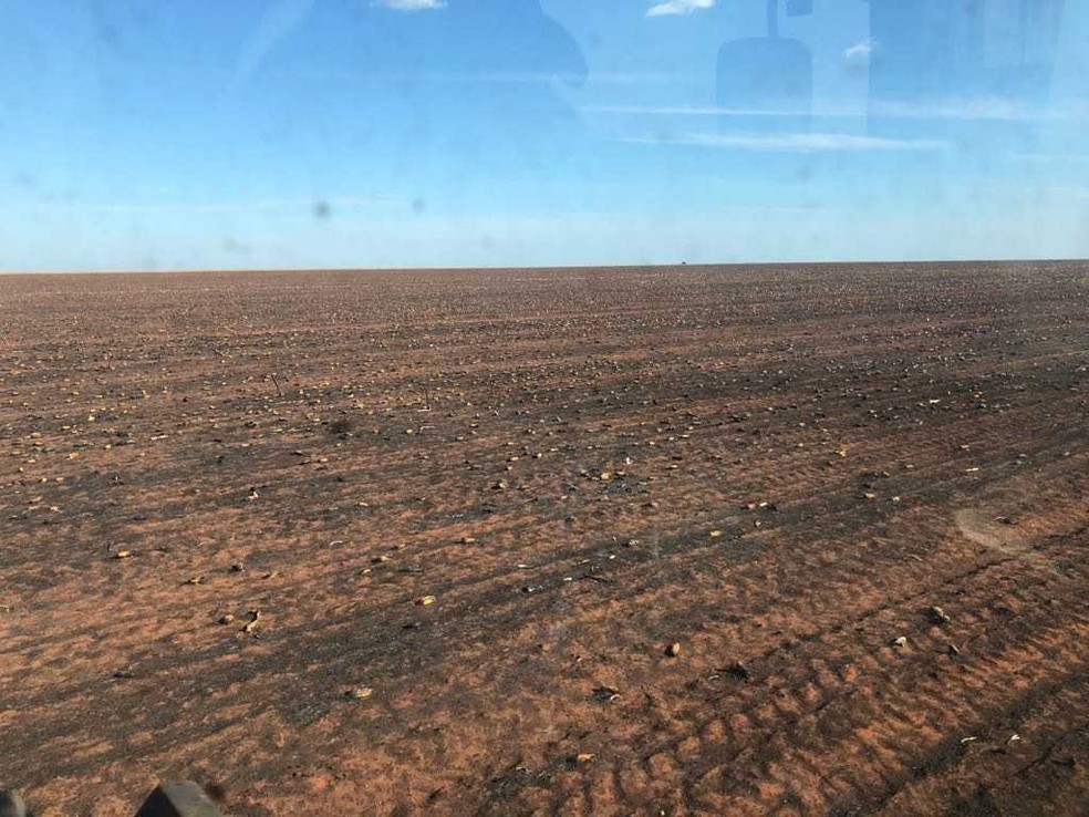Rastros de destruição deixados pelo fogo (Foto: Genuínio Aimi/ Arquivo pessoal)