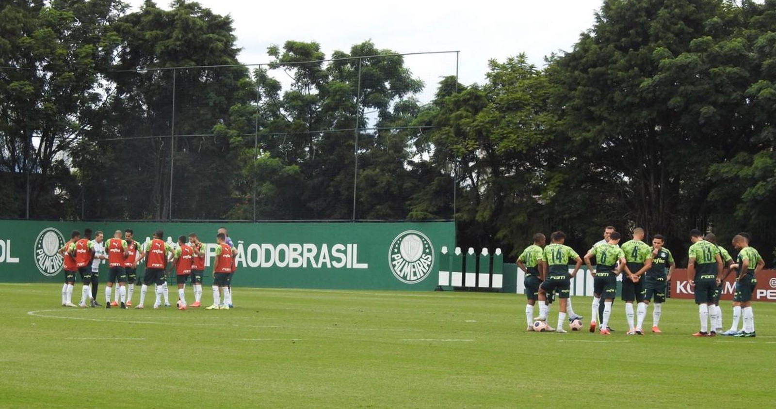 Escalação do Palmeiras: veja o time que Luxemburgo pretende usar contra a Ponte Preta