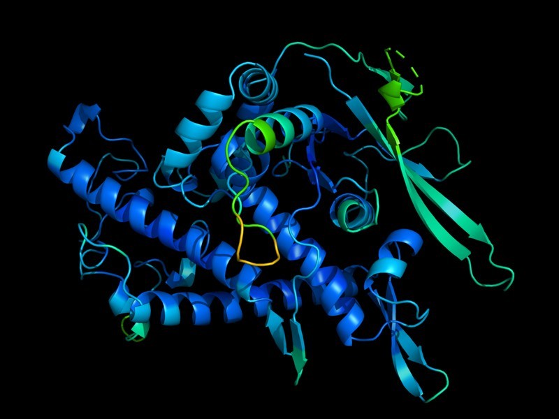 A função de uma proteína é determinada pelo seu formato em 3D (Foto: DeepMind)