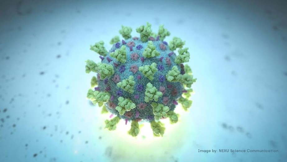 Pará registra 289.795 casos e 7.124 óbitos de Covid-19