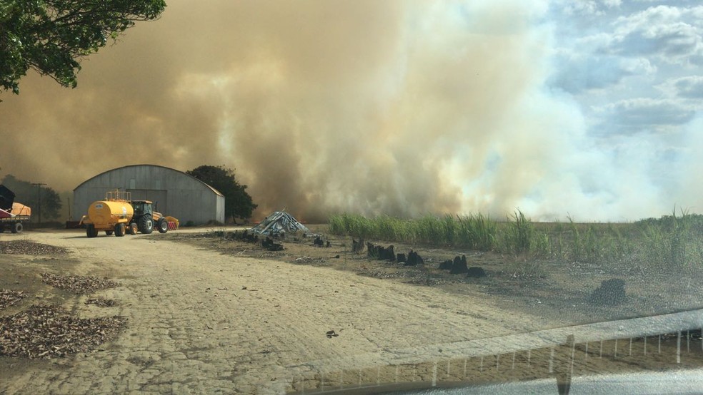 Incêndio em área rural do Distrito Federal  (Foto: Arquivo pessoal )