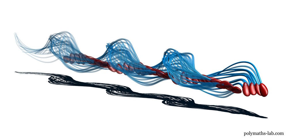 Estudo revela que espermatozóides nadam em espiral — Foto: Divulgação/polymaths-lab.com