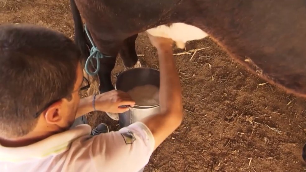 Secretaria da Agricultura adota medidas para ajudar produtores rurais na Bahia — Foto: Reprodução/TV Bahia
