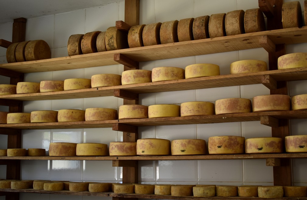 Alagoa produziu em média 1,5 tonelada de queijo por dia em 2018 — Foto: Régis Melo/G1